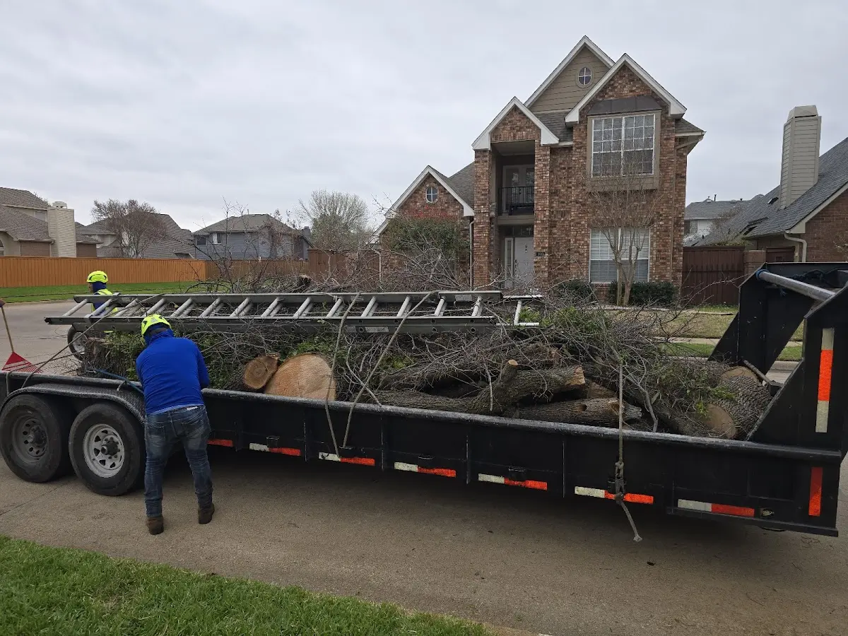 Expert Crown Reduction with proper safety equipment in Somersville